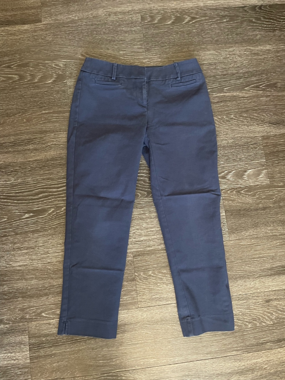 Ann Taylor LOFT Julie Pants in Dark Blue